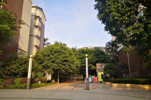 盛世棠城·永川 宜居新城的双面观察与周边市场反馈